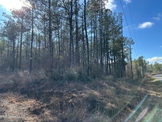 Emile Davis Road, Poplarville, MS 39470