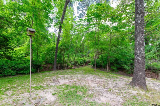 17573 Indian Summer Ln, Flint, TX 75762