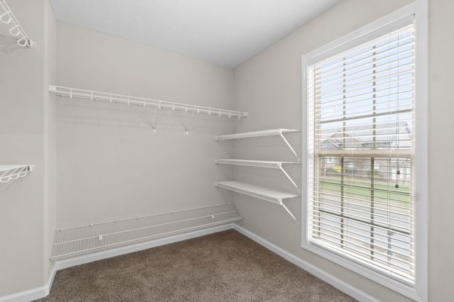 2485 Senseney Dr, Clarksville, TN 37042