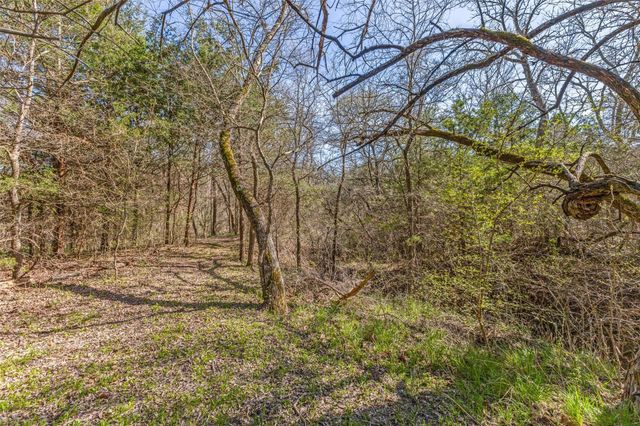 Tract 5 Private Road 6040, Blue Ridge, TX 75424