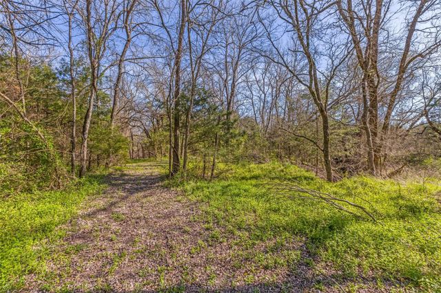 Tract 5 Private Road 6040, Blue Ridge, TX 75424