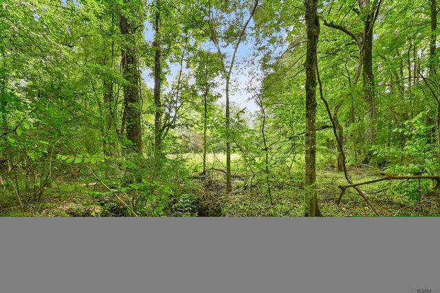 2907 La Hwy 966, St Francisville, LA 70775