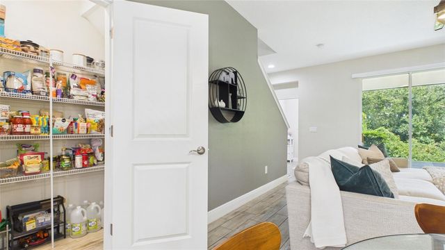 14140 DAMSELFLY DRIVE, Tampa, FL 33625