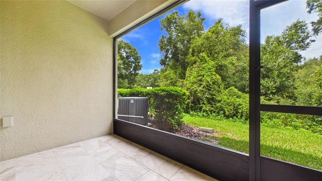 14140 DAMSELFLY DRIVE, Tampa, FL 33625