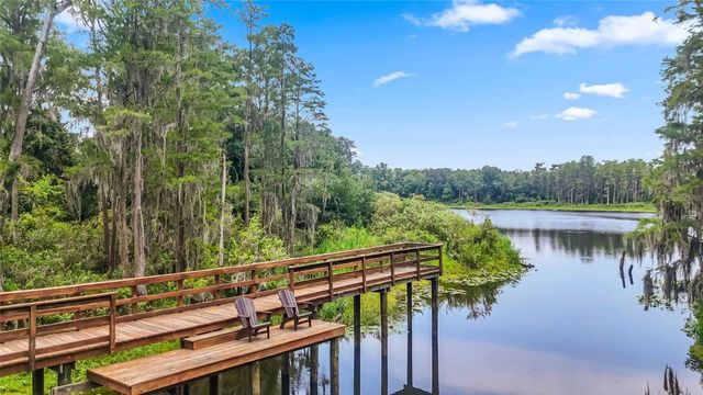 14140 DAMSELFLY DRIVE, Tampa, FL 33625