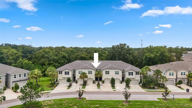 14140 DAMSELFLY DRIVE, Tampa, FL 33625