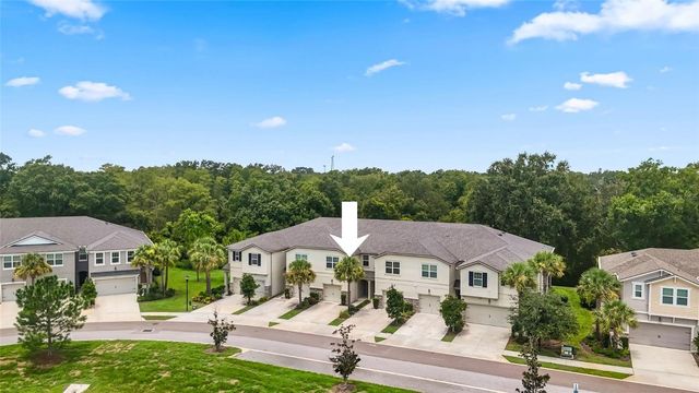 14140 DAMSELFLY DRIVE, Tampa, FL 33625