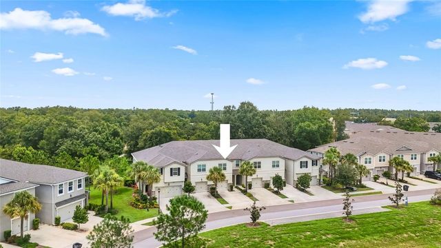 14140 DAMSELFLY DRIVE, Tampa, FL 33625