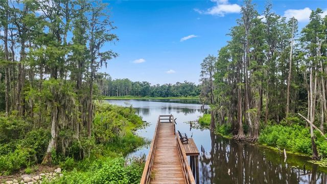 14140 DAMSELFLY DRIVE, Tampa, FL 33625