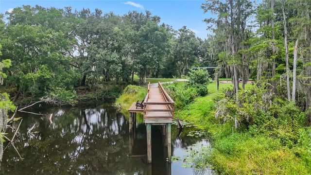 14140 DAMSELFLY DRIVE, Tampa, FL 33625