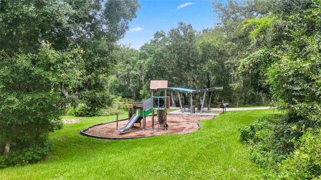 14140 DAMSELFLY DRIVE, Tampa, FL 33625