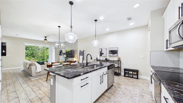 14140 DAMSELFLY DRIVE, Tampa, FL 33625