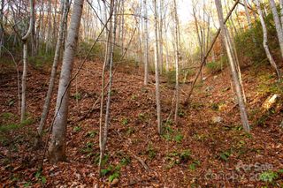 TBD Rector Branch Road 4, Marshall, NC 28743