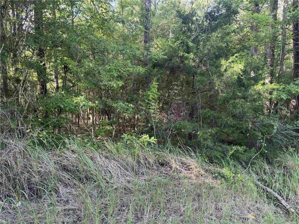 0 Rice Creek Road, Stockton, AL 36579 — exterior