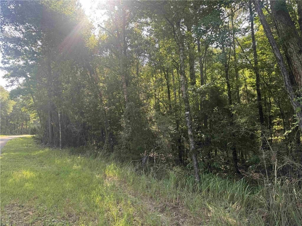0 Rice Creek Road, Stockton, AL 36579 — photo 2
