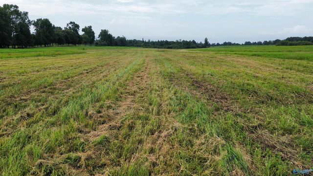 007 Quinn Road, Athens, AL 35611