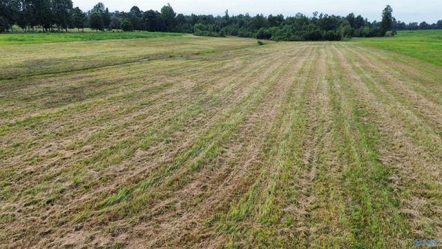 007 Quinn Road, Athens, AL 35611