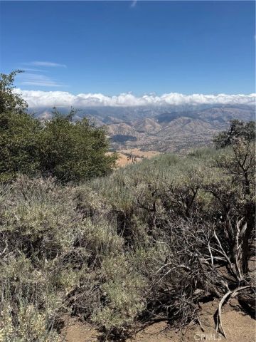 25610 Jacaranda, Tehachapi, CA 93561