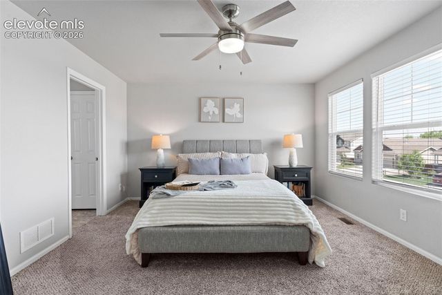 9752 Wando Drive, Colorado Springs, CO 80925
