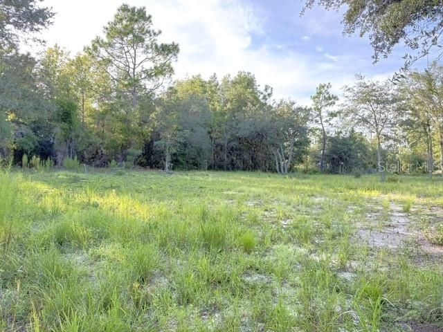 00 NE 50TH PLACE, Williston, FL 32696
