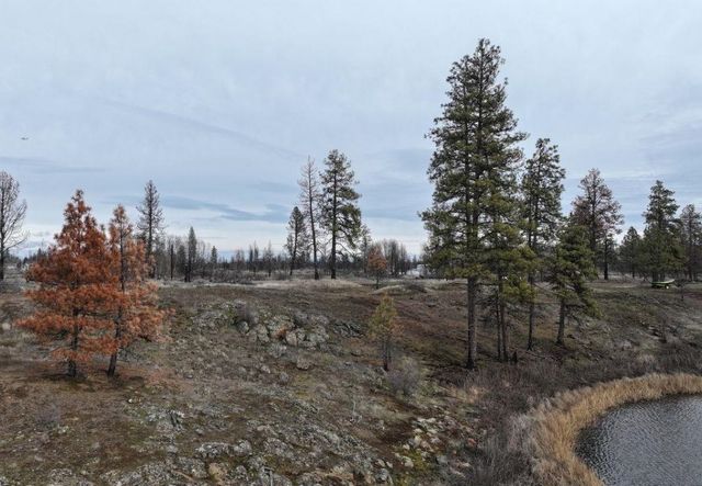 S Medical Lake Rd, Medical Lake, WA 98256