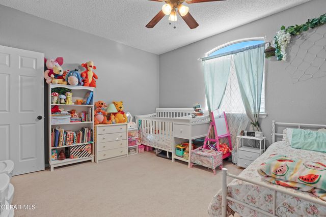 4917 CATTLE Lane, El Paso, TX 79934