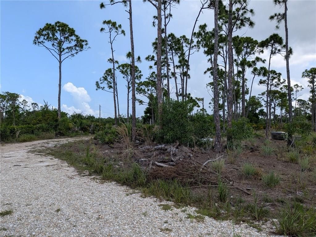 4159 Sunshine BLVD, ST. JAMES CITY, FL 33956 — photo 4