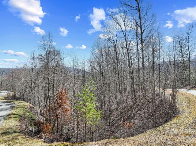 141 Sanctuary Way 13, Marshall, NC 28753