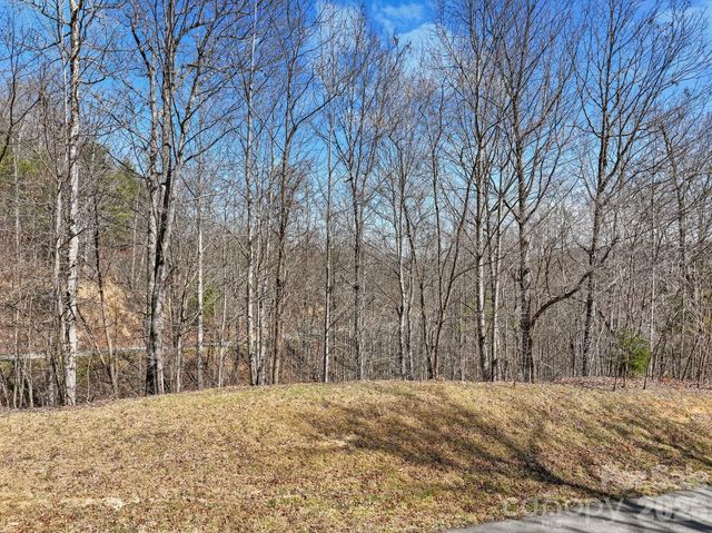 141 Sanctuary Way 13, Marshall, NC 28753