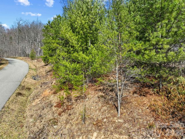 141 Sanctuary Way 13, Marshall, NC 28753