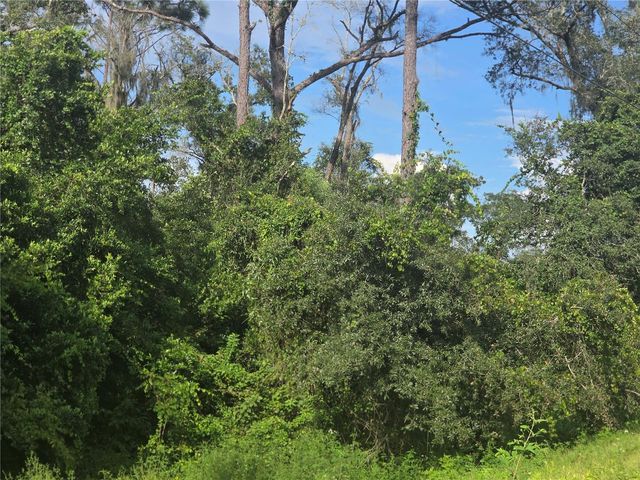 158-A CORTEZ BLVD., Dade City, FL 33523