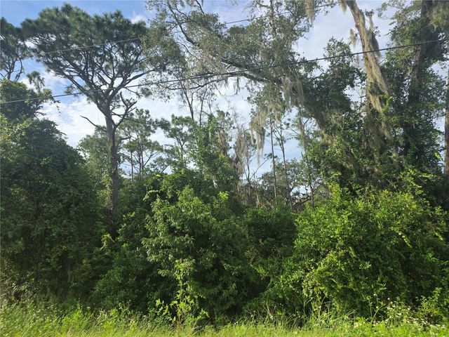 158-A CORTEZ BLVD., Dade City, FL 33523
