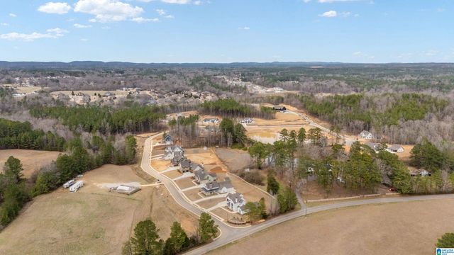 7903 BRAE VILLAGE DRIVE, Morris, AL 35116