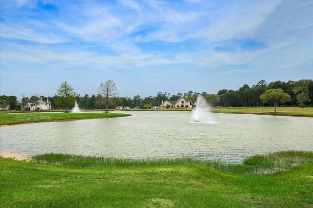 2215 Stallion Lakes Avenue, Hockley, TX 77447