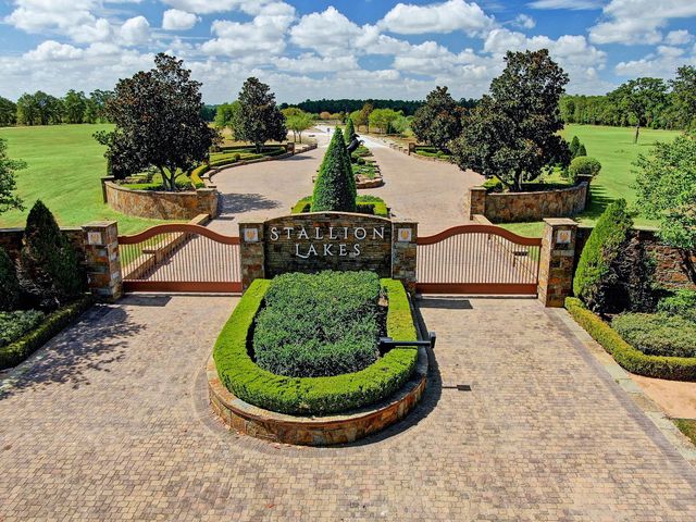 2215 Stallion Lakes Avenue, Hockley, TX 77447