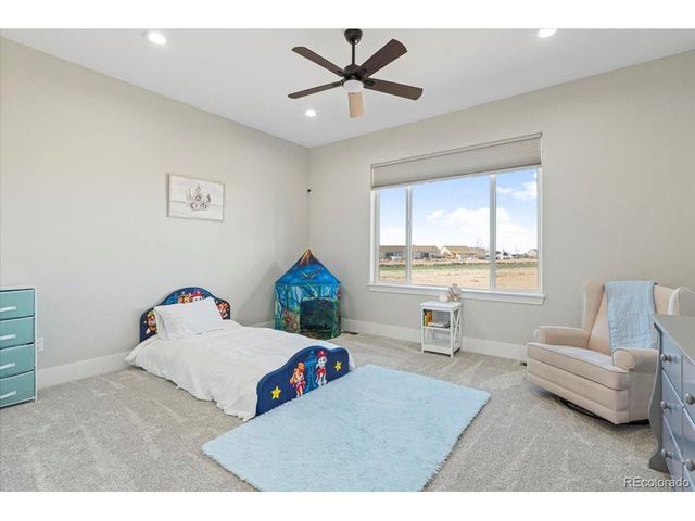 29151 E 165th Ave, Brighton, CO 80603
