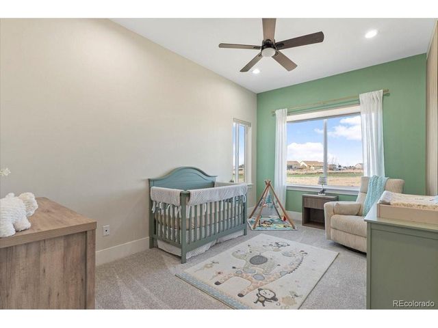 29151 E 165th Ave, Brighton, CO 80603