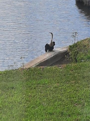 5709 AVISTA DRIVE 4108, Sarasota, FL 34243