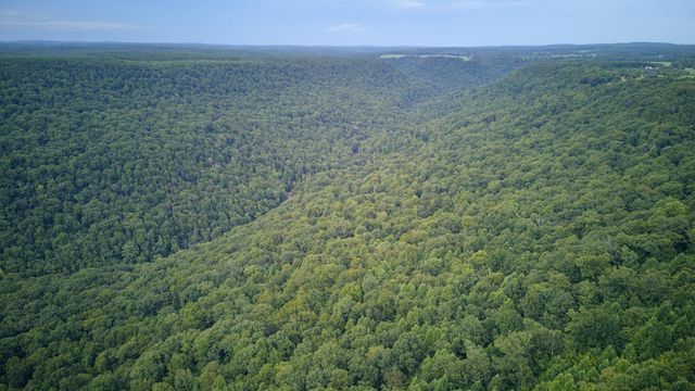 1400 County Road 818, Bryant, AL 35958