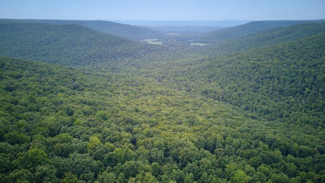1400 County Road 818, Bryant, AL 35958