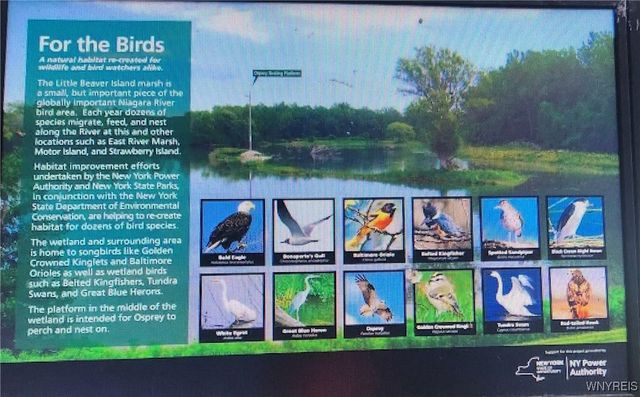 1552 Cox Road, Grand Island, NY 14072