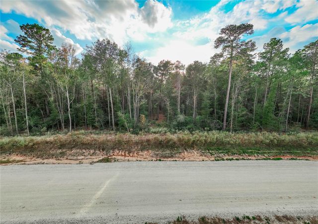 134 Splendid Road, New Waverly, TX 77358