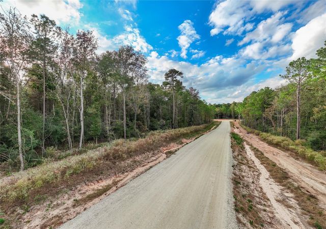 134 Splendid Road, New Waverly, TX 77358