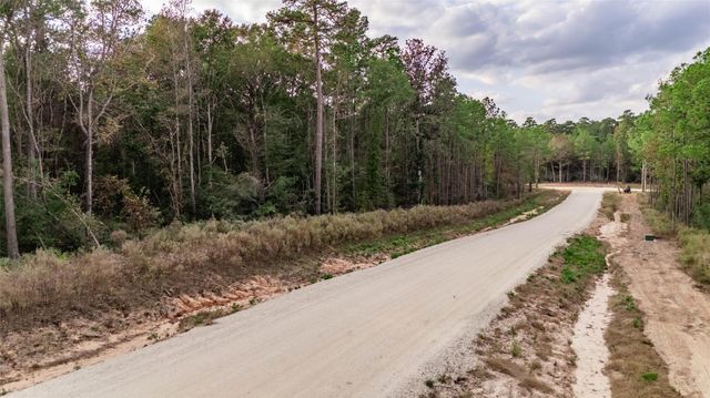 134 Splendid Road, New Waverly, TX 77358