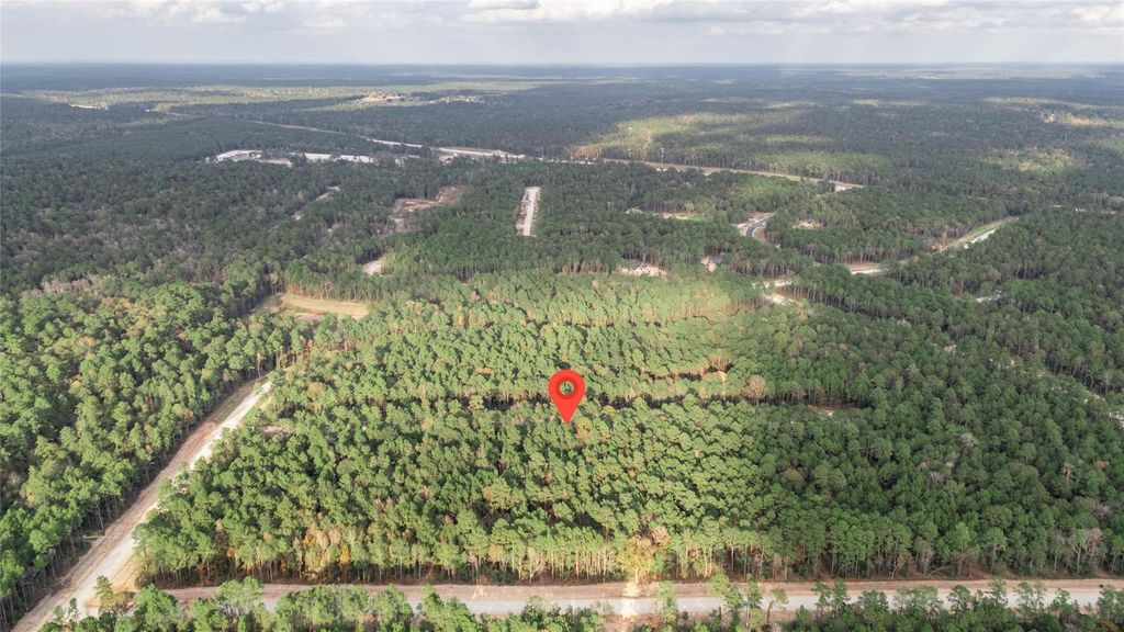 134 Splendid Road, New Waverly, TX 77358