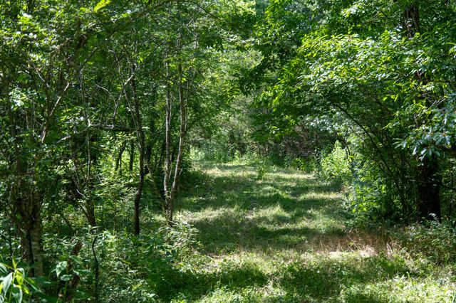 0 Hopkins Hollow, Gainesboro, TN 38562