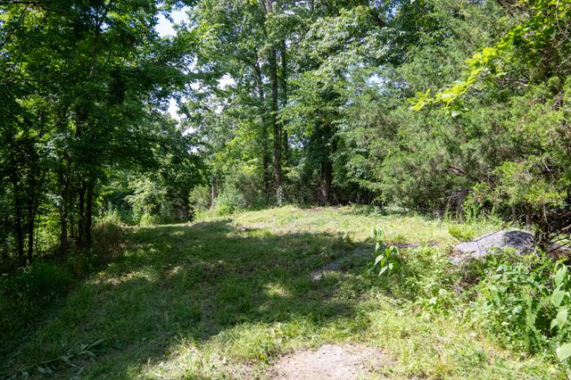 0 Hopkins Hollow, Gainesboro, TN 38562
