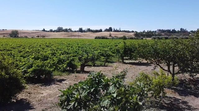 0 Friant Ave, Clovis, CA 93619