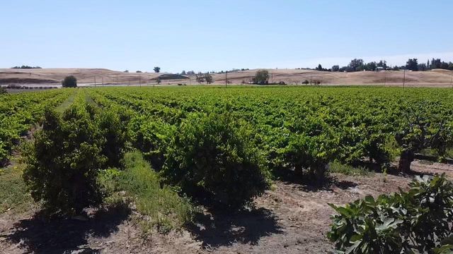 0 Friant Ave, Clovis, CA 93619