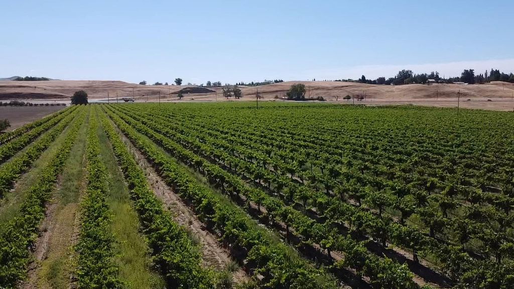 Image 9 of property listing at 0 Friant Ave, Clovis, CA 93619